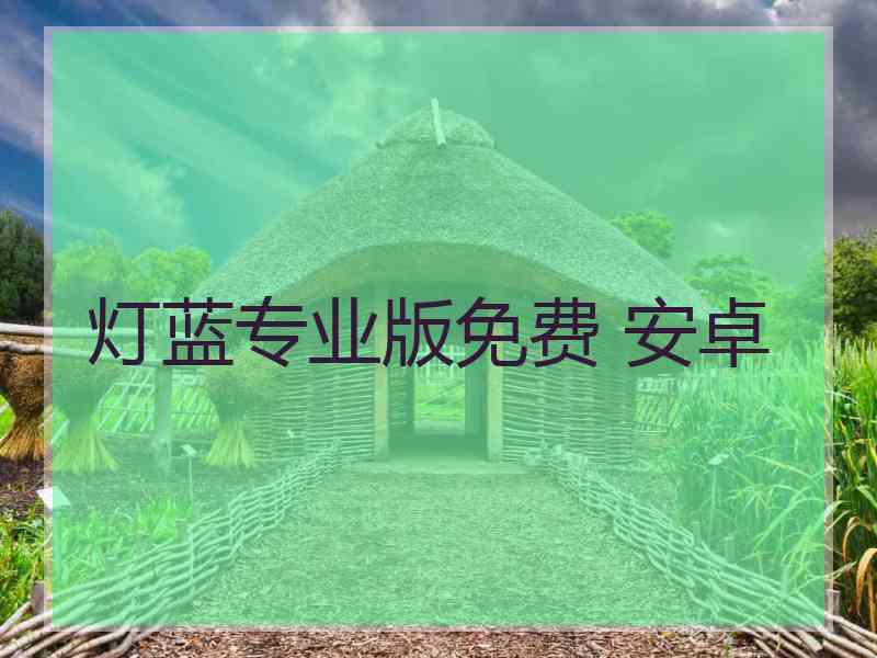 灯蓝专业版免费 安卓 灯蓝专业版免费 安卓